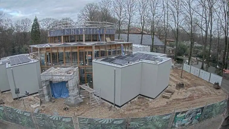 Nieuw gebied ‘Koalia’ in Ouwehands Dierenpark krijgt vorm
