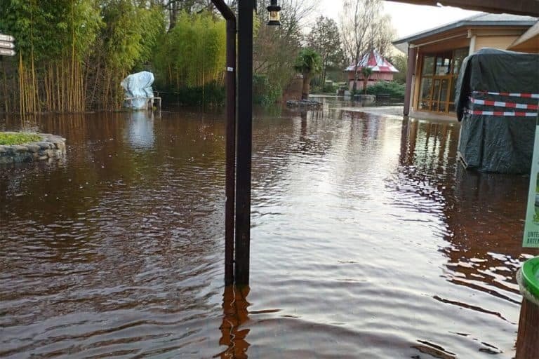 Duitse dierentuin evacueert noodgedwongen apen en andere dieren door noodweer