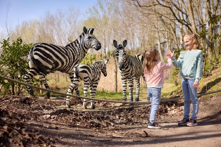 ZooParc Overloon bezaait met duizenden bouwstenen tijdens Expeditie Bricks