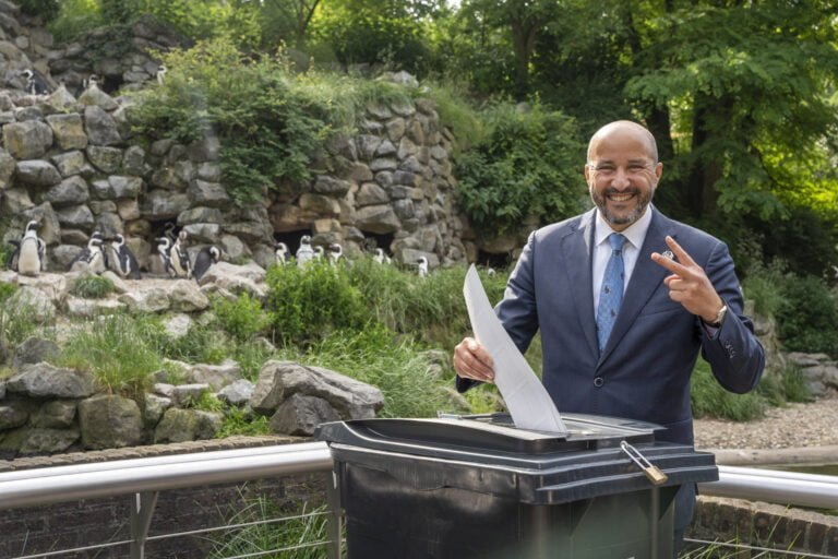 Stemmen tussen pinguïns in Burgers’ Zoo voor de Europese Parlementsverkiezingen