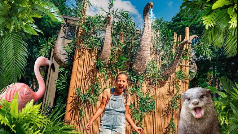 Zomervakantie vol waterpret gaat van start in DierenPark Amersfoort