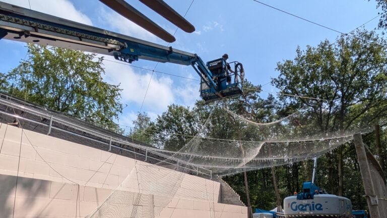 Hoogtepunt bouw Chimpanseevallei in DierenPark Amersfoort bereikt