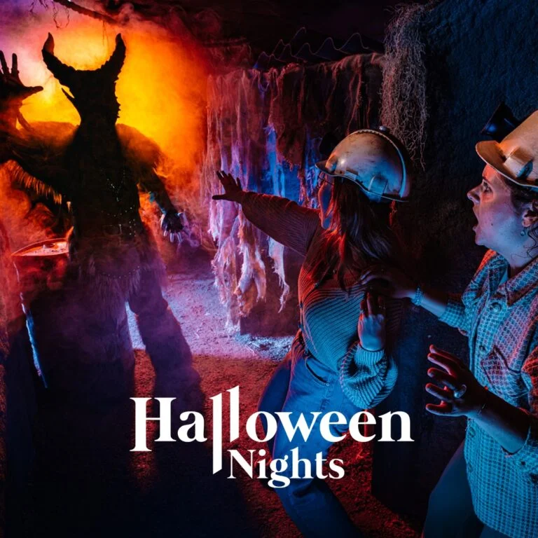 Halloween Countdown: Waarom vinden we het leuk om bang gemaakt te worden?