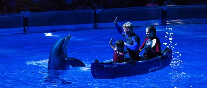 Dolfinarium Boudewijn Seapark moet tegen 2037 deuren sluiten