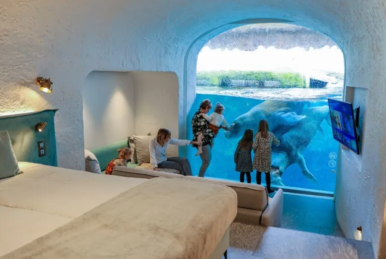 Forse groei vanuit Nederland voor het Pairi Daiza Resort