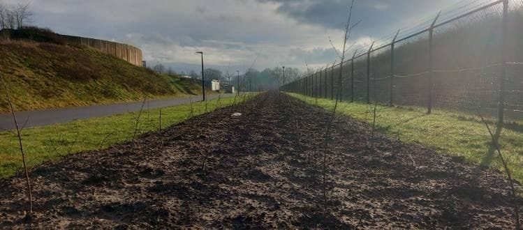 Duizenden bomen voor WILDLANDS vanwege bijzonder project