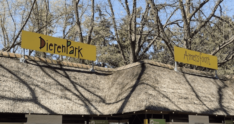 Giftige nachtaapjes geboren in DierenPark Amersfoort