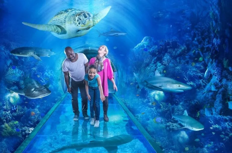 Merlin Entertainments overweegt verkoop van aantal Sea Life-aquaria