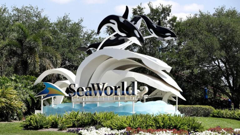 SeaWorld Orlando opent komend voorjaar het eerste immersieve Arctic Flying Theater ter wereld