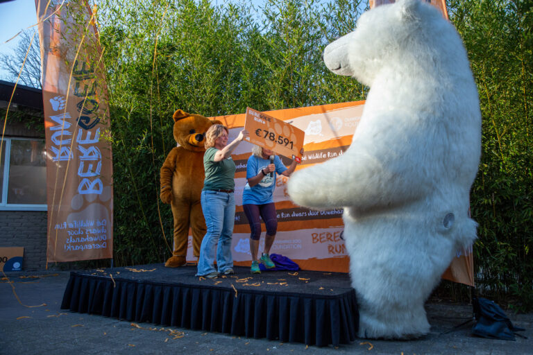 Beregoeie Run door Ouwehands Dierenpark haalt ruim € 78.000 op om de beren te beschermen