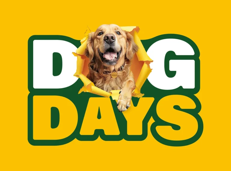 Bellewaerde Park organiseert ‘Dog Days’: een unieke beleving voor honden en hun baasjes