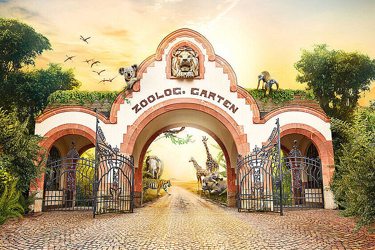 Dierentuin in Leipzig laat tijgerwelpen inslapen na afwijzing door moeder