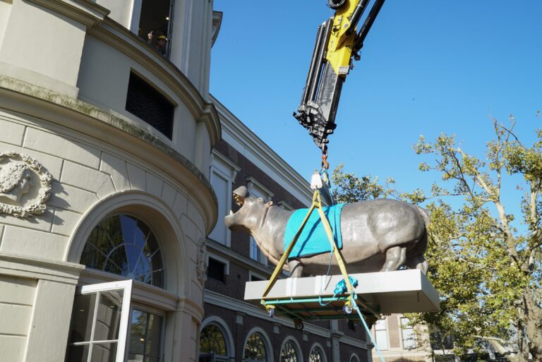 Het beroemde nijlpaard Tanja keert opgezet terug naar Artis voor tentoonstelling