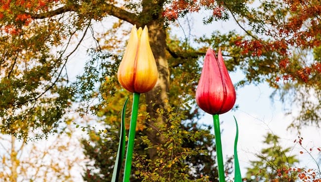 Sprookjesachtig welkom voor Efteling-bezoekers op de Europalaan