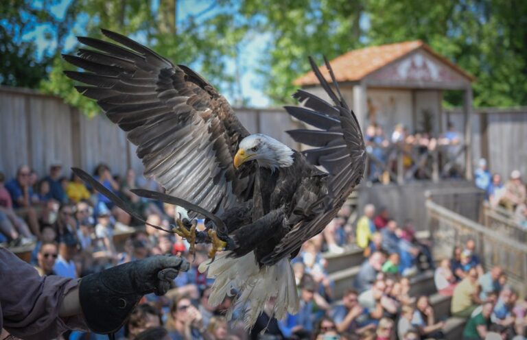Museumpark Archeon viert herfstvakantie met extra activiteiten