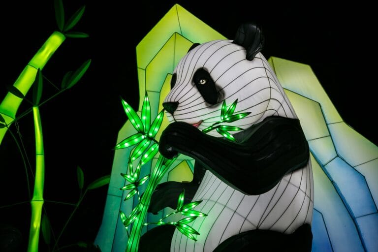 Light Nights keert vanaf 18 oktober terug in Ouwehands Dierenpark met een splinternieuwe editie!