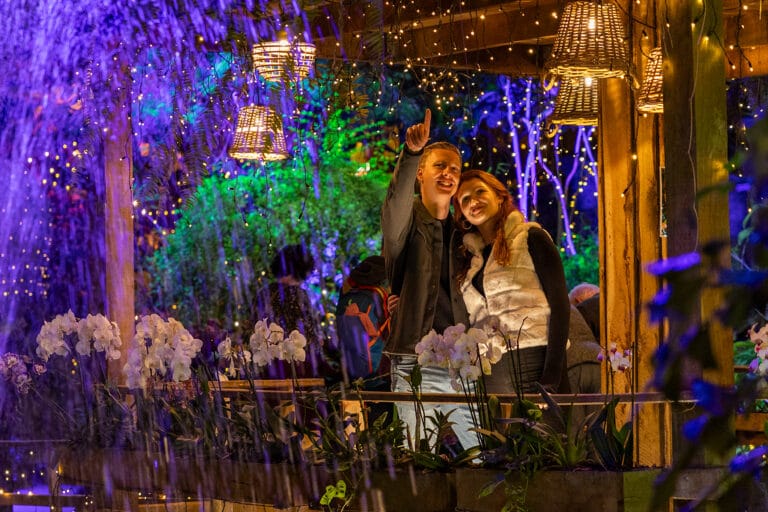 Pantropica pakt uit met extra lange WinterDroom