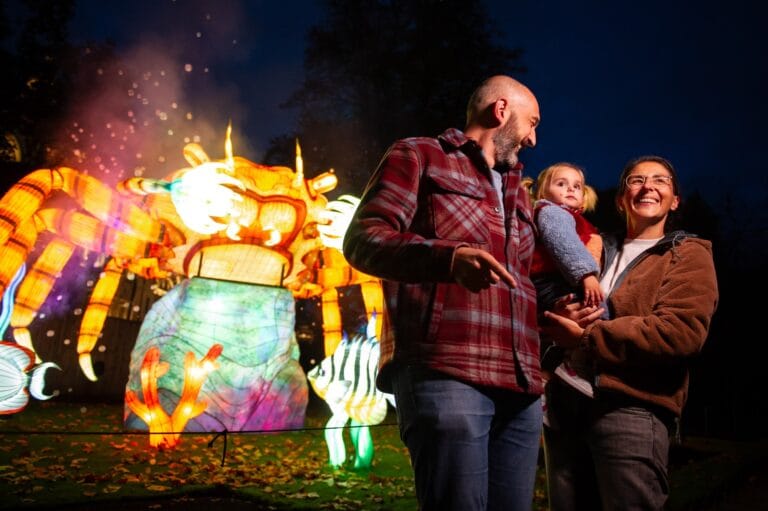 Lichtfestival terug in ZOO Antwerpen: van lichtgevende schelpjes tot gigantische octopus