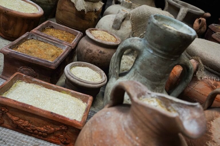 De Graanschuur: DierenPark Amersfoort opent nieuw rattenverblijf