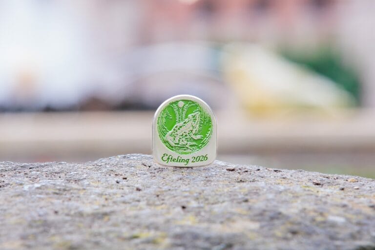 Efteling brengt nieuwe jaarpin uit met afbeelding van De Kikkerkoning