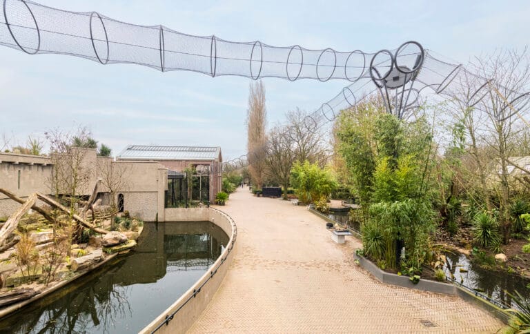 Kerbertterras geopend in ARTIS: voormalig leeuwenverblijf gerestaureerd en in gebruik genomen door andere bewoners