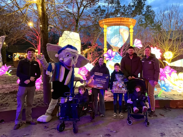 100.000ste bezoeker voor Light Safari in Safaripark Beekse Bergen