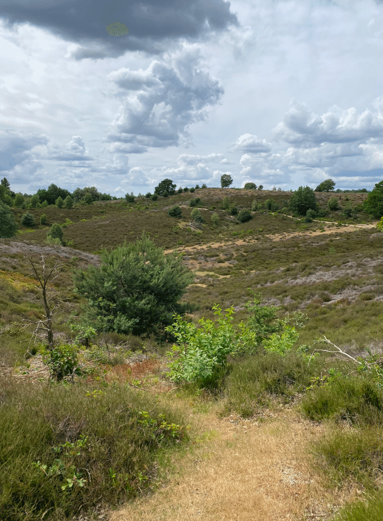 570.000 betalende bezoekers voor De Hoge Veluwe in 2025