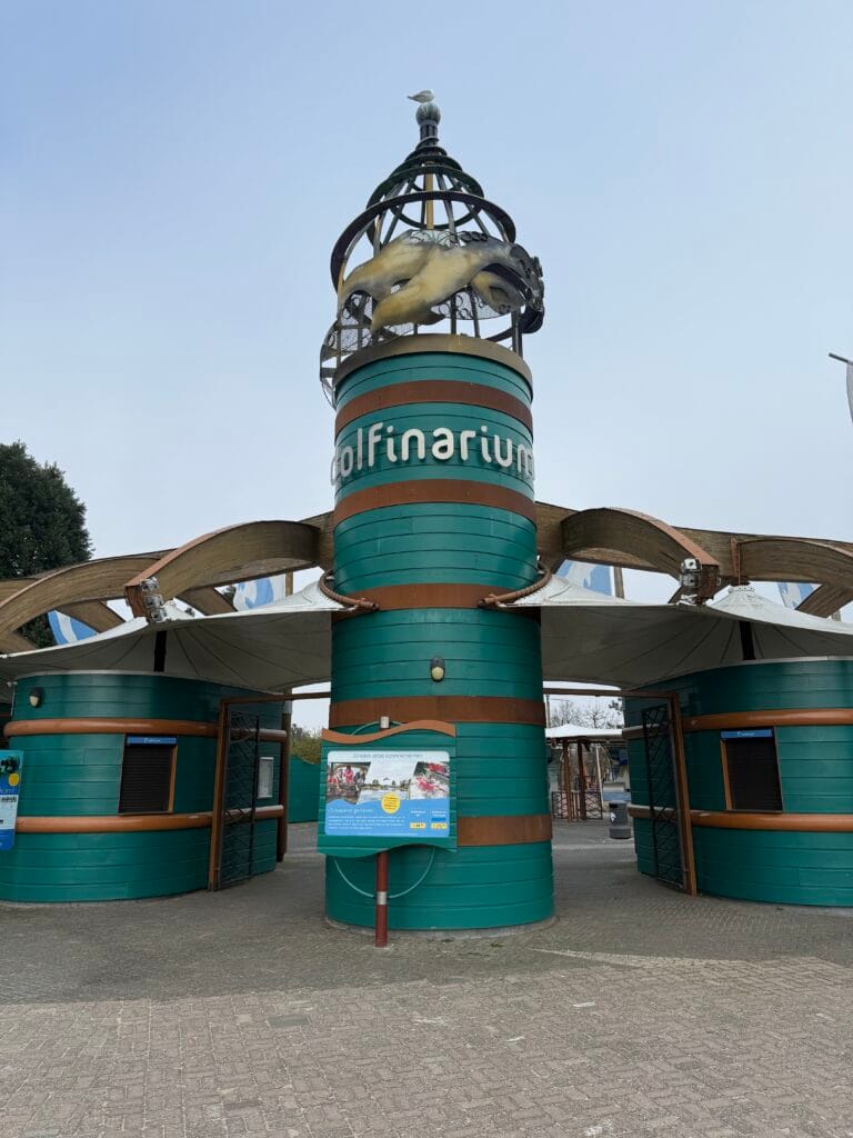 Dolfijn overleden in Dolfinarium: oudste dolfijn van Nederland