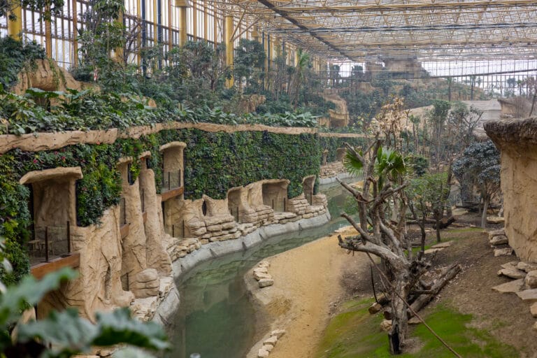 Pairi Daiza opent reserveringen voor bijzondere overnachtingen in het gigantische Edenya