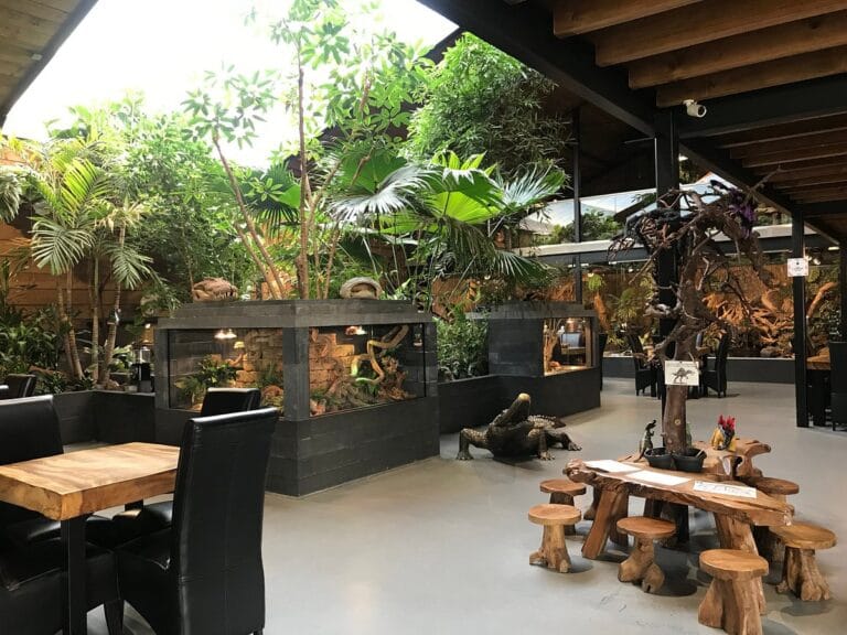 Prikkelarme dierentuindag bij Reptielenhuis De Aarde in Breda tijdens voorjaarsvakantie