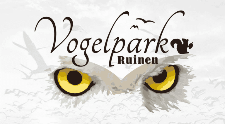 Vogelpark Ruinen maakt comeback, mogelijk met pinguïns
