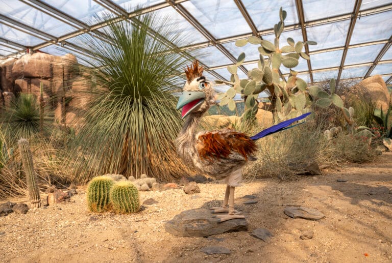 Vernieuwde Desert vormt decor voor nieuwe musical in Burgers’ Zoo