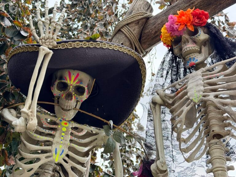Alle spookhuizen van Toverland snel bezoeken? Fear Pass nog maar op drie Halloween Nights beschikbaar
