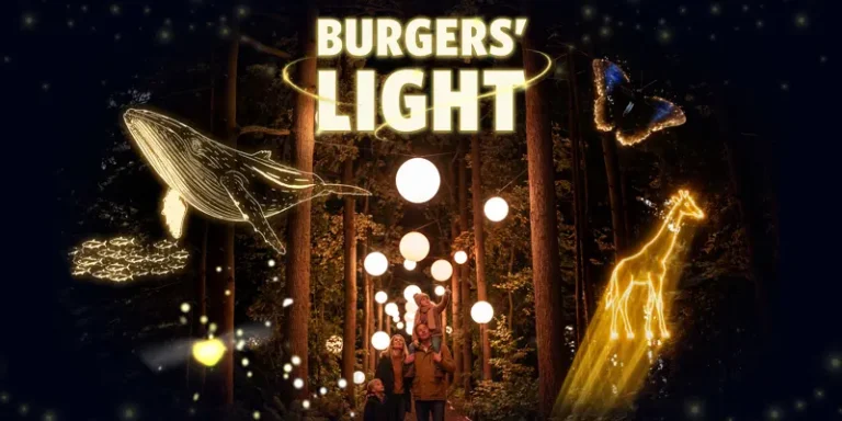 Burgers’ Light is terug na zeven jaar: lichtevenement Burgers’ Zoo in nieuw jasje