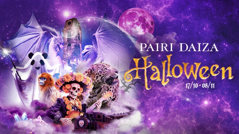 Pairi Daiza viert met 23 nocturnes zijn grootste Halloween ooit