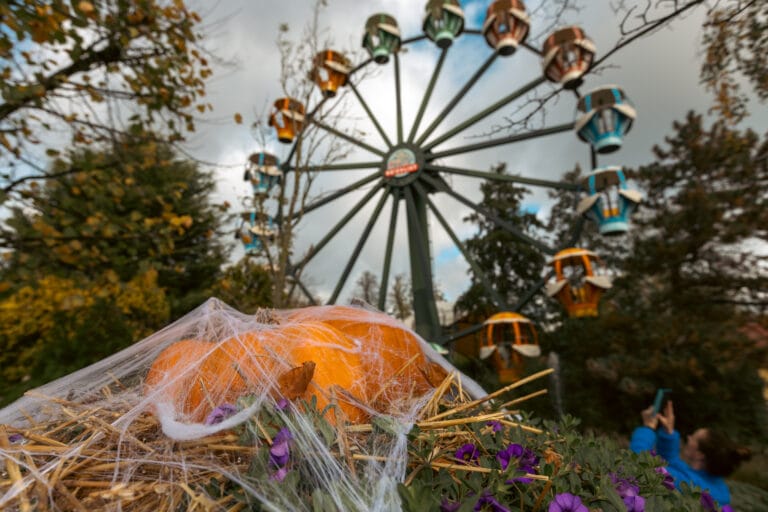 Halloween in Drievliet: bezoek de Griezelbus en botsauto’s worden Spookrijders tijdens de Duistere Dagen