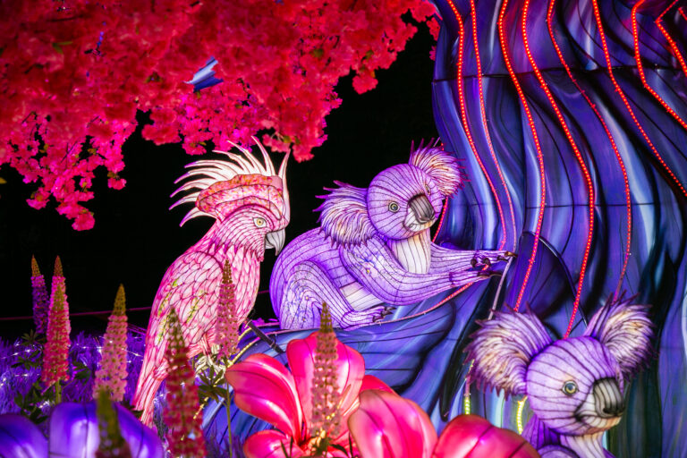 Nieuwe magische editie Light Nights in Ouwehands Dierenpark